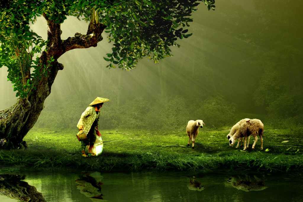Three Chinese Fables to Guide Your Life